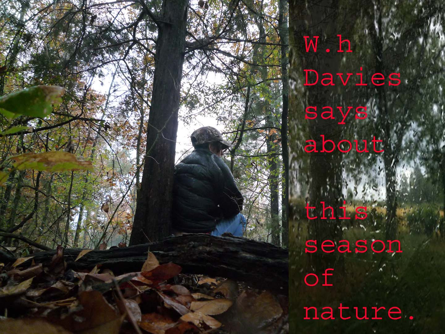 POETRY CLUB poem by w.h Davies,The rain