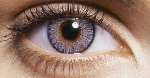 KARILJA'19: Kesempurnaan dalam Mata Manusia