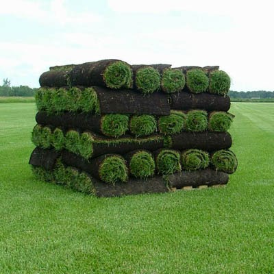 wanneer graszoden leggen wanneer graszoden leggen