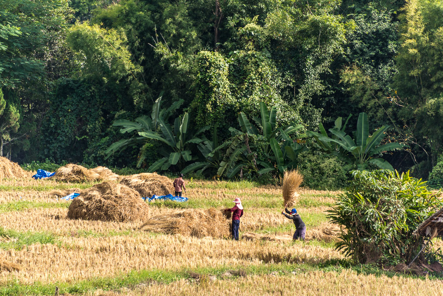 A trip to the neighborhood of the Pai