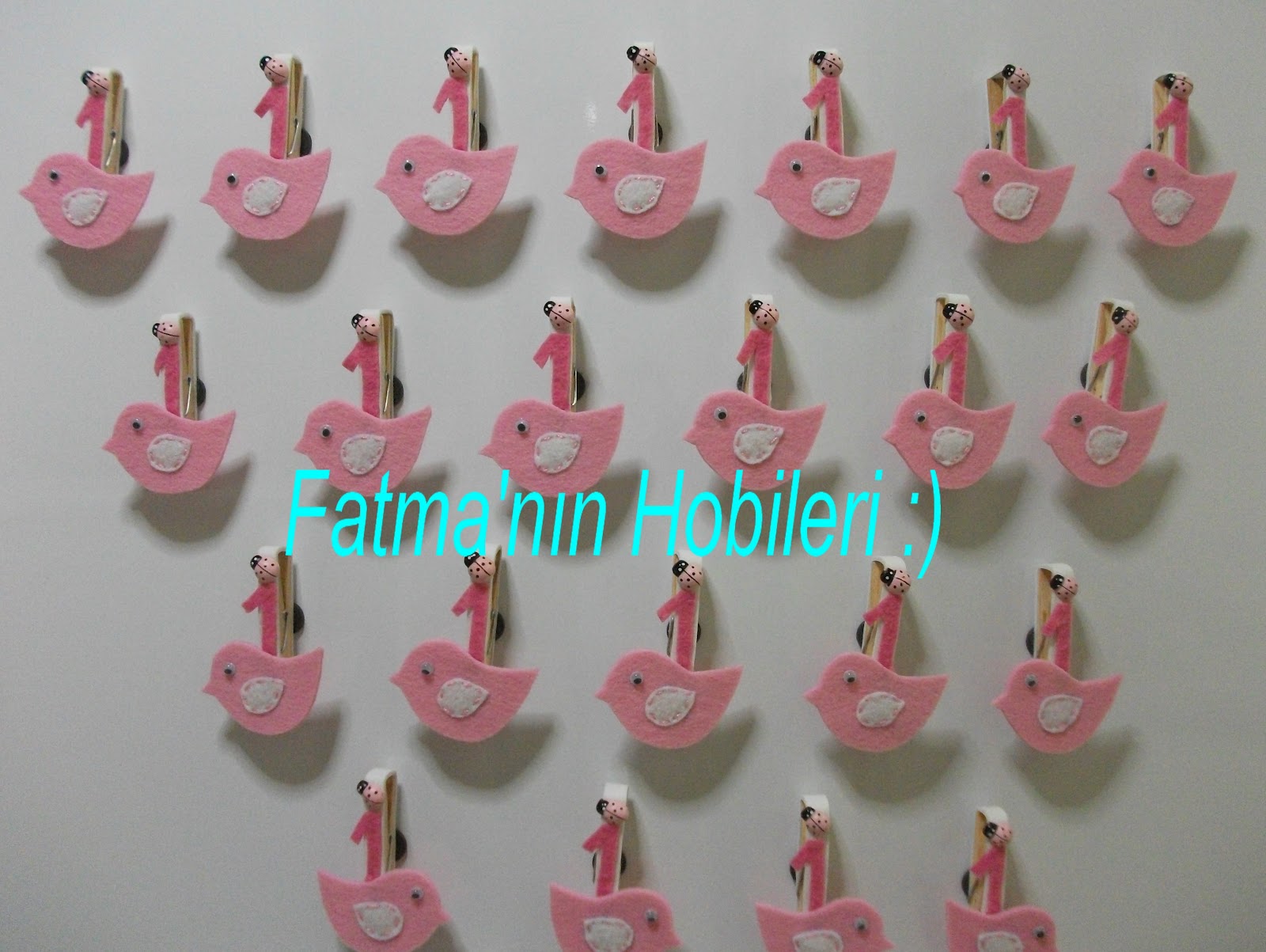 Fatma�nın Hobileri Kuşlu doğum günü