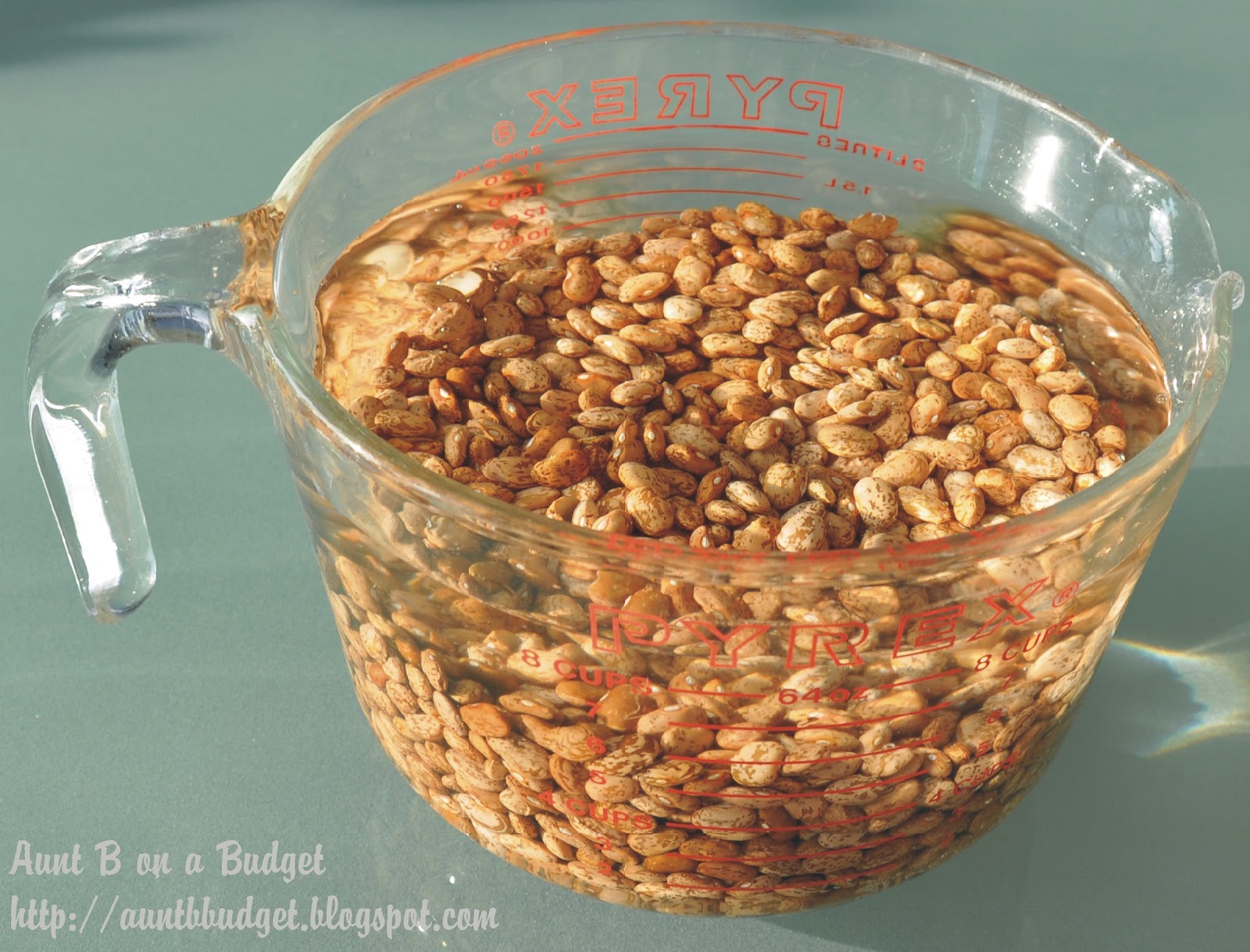 Aunt B on a Budget Slow Cooker Pinto Beans With Ham, and How to Can Them