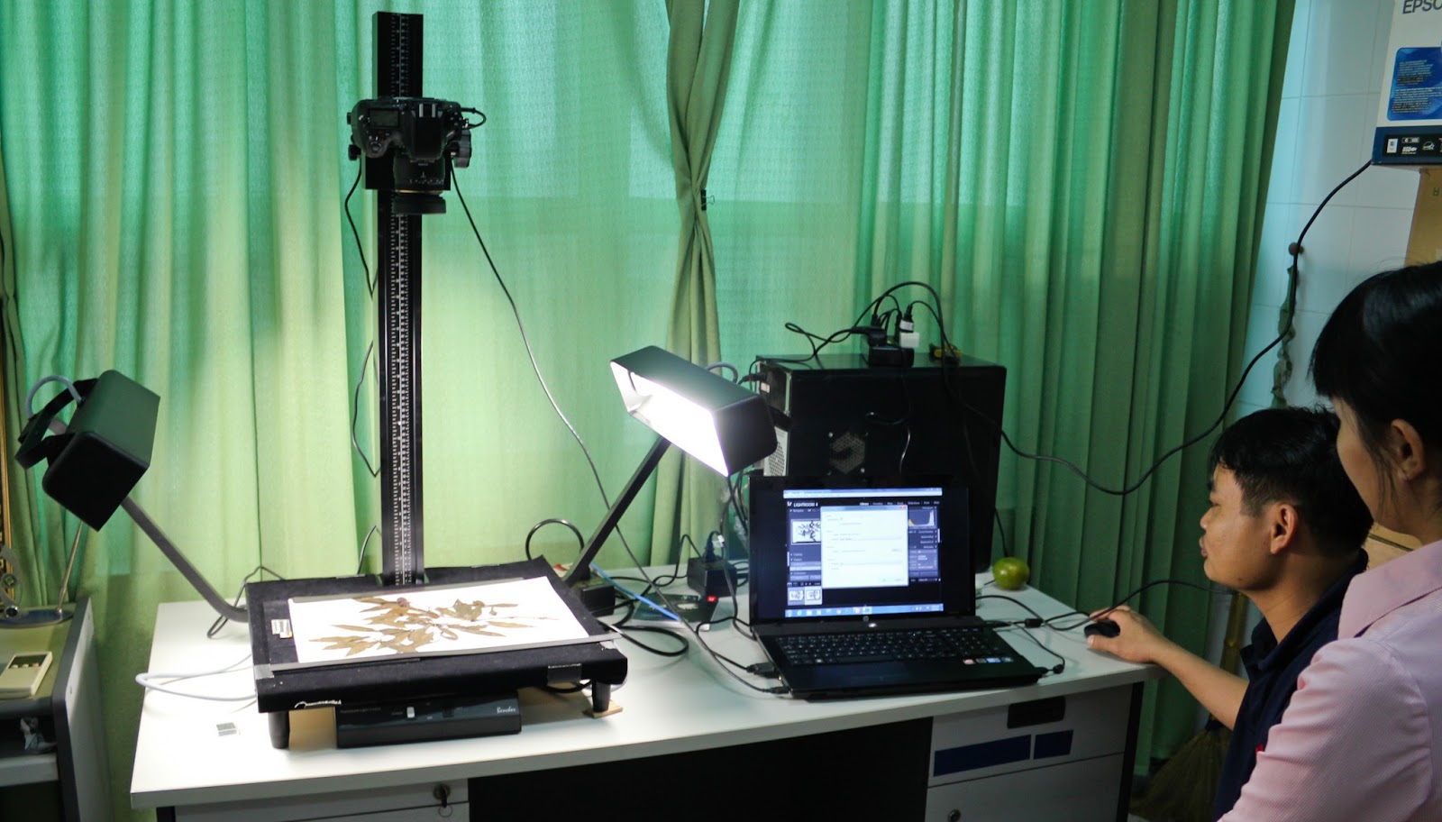 Digital Photo Repro and Digital Asset Management (DAM) Digitizing