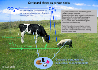 Emission trading system new zealand