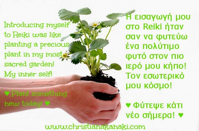 Σεμινάρια Usui Reiki