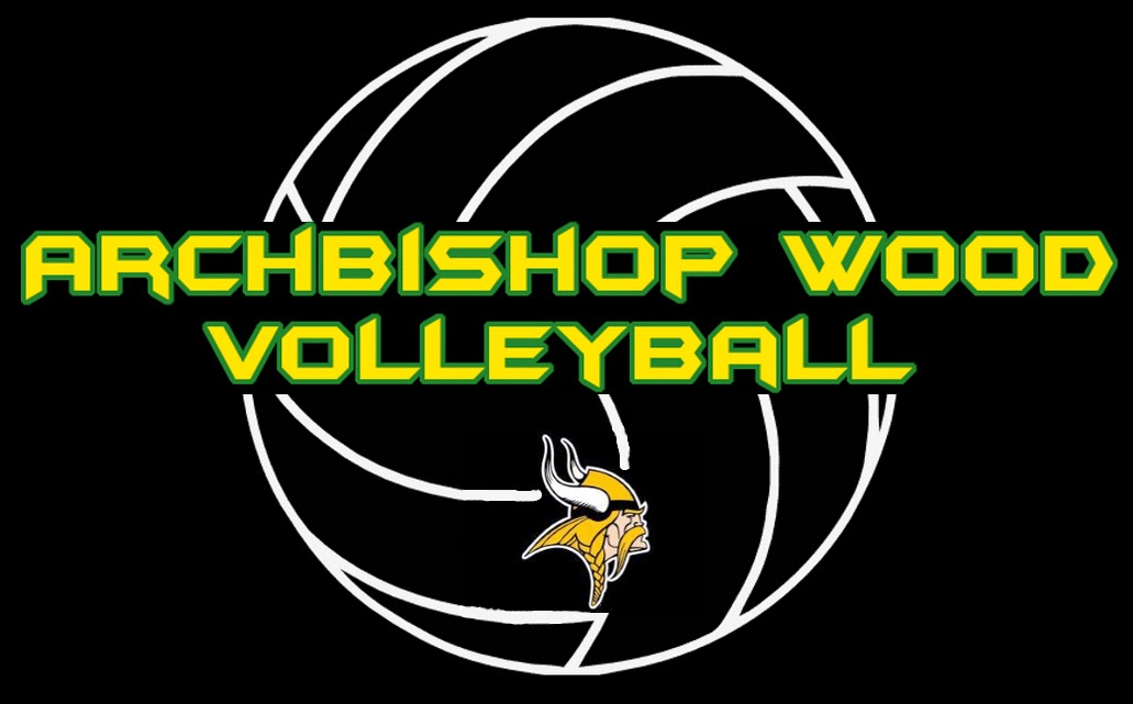 Wood Volleyball Logo