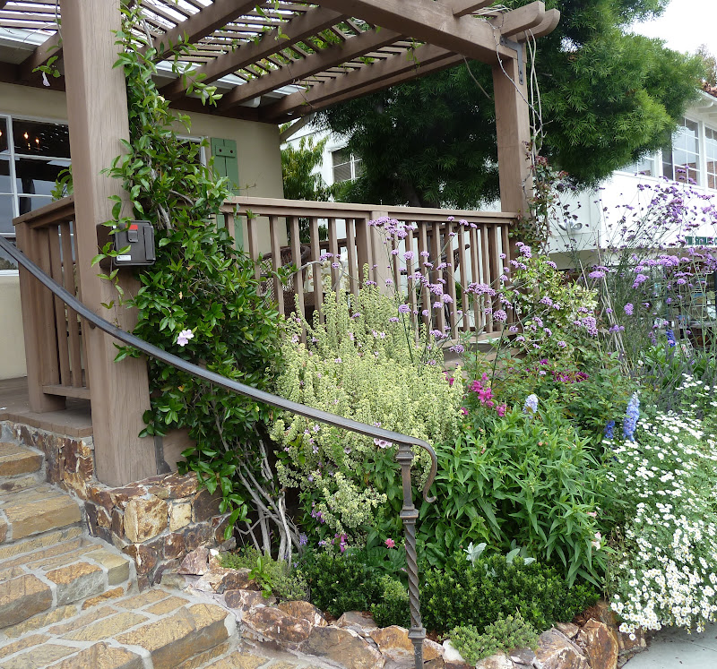 Observations Thyme in the Ranch