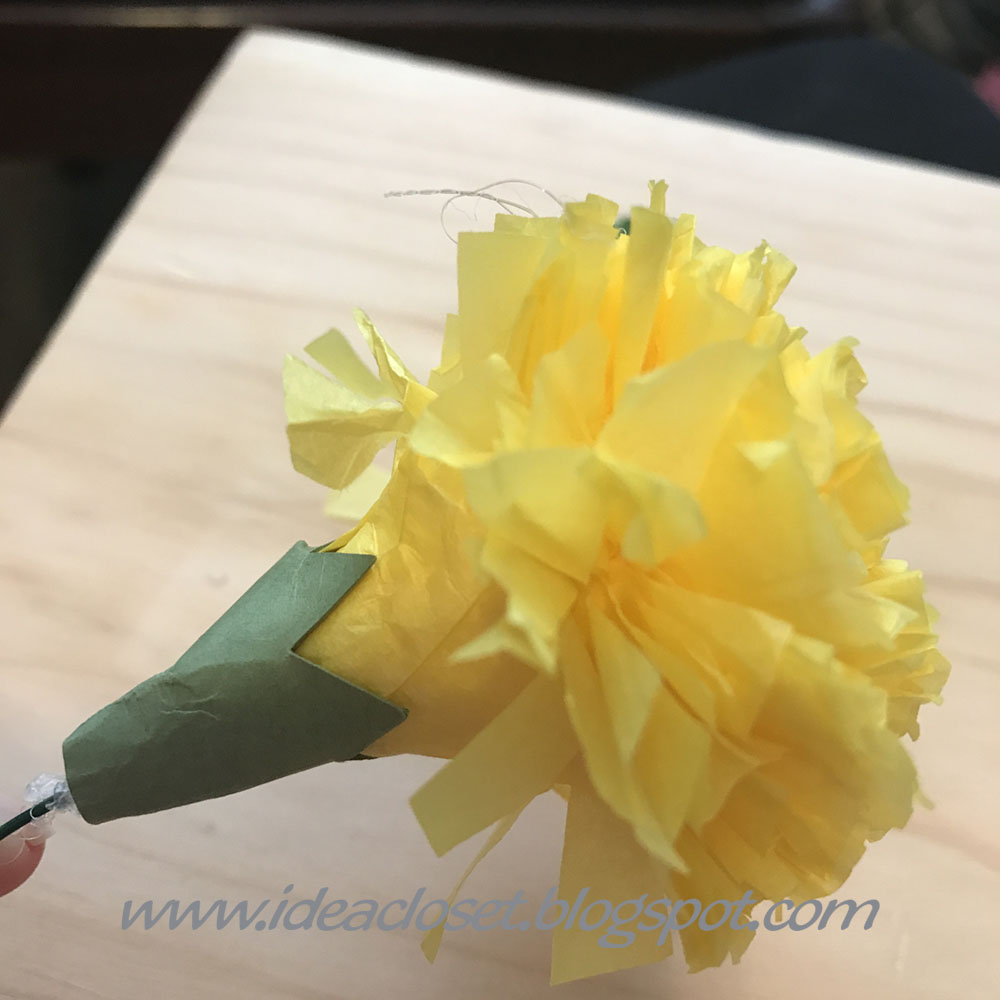 Tissue Paper Carnations and a BIG announcement Idea Closet
