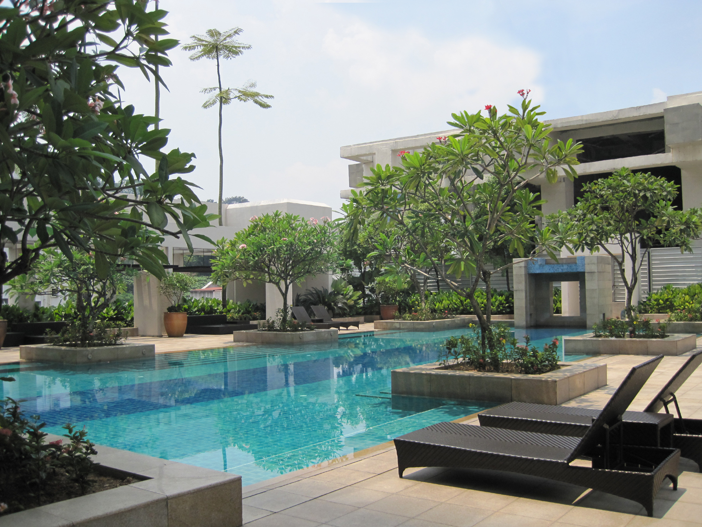 Tropical Modern Landscape Design