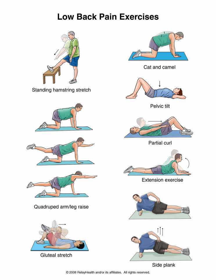 back pain back pain