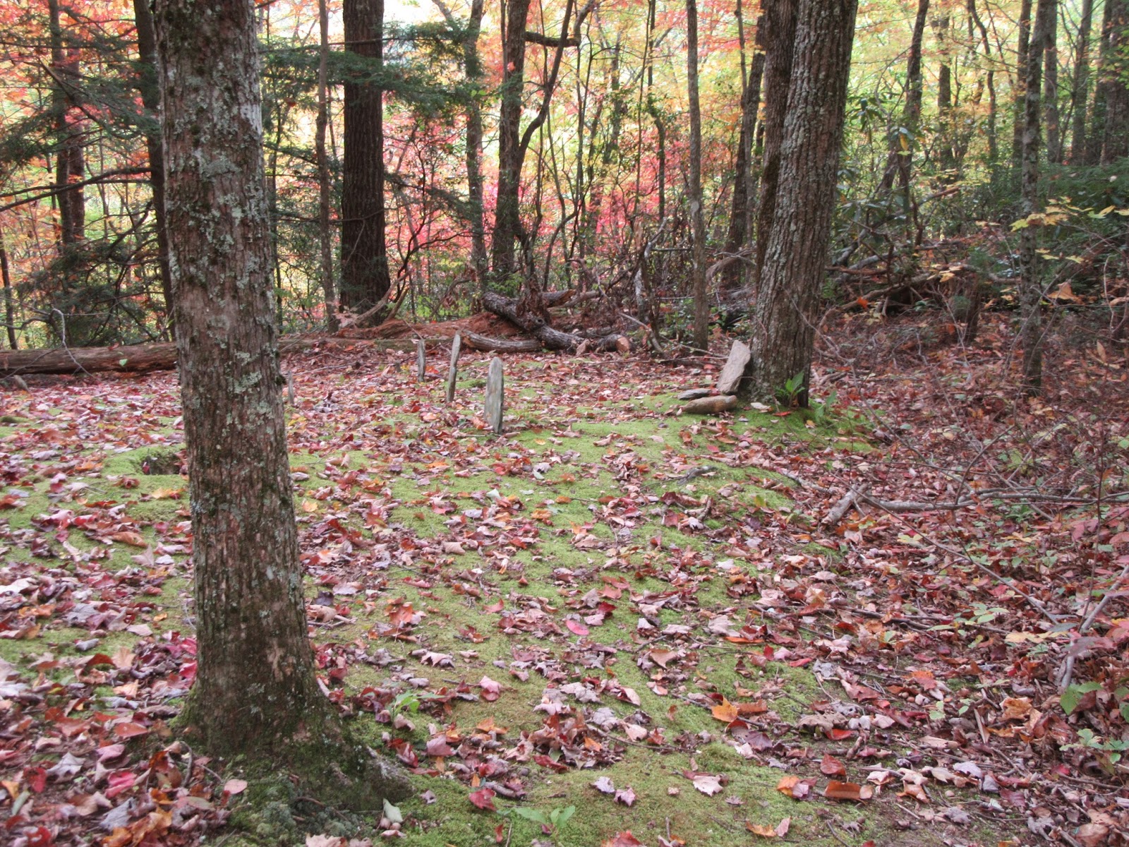 Smoky Mountain Cemetery Creeping Moore Cemetery