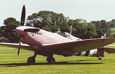 pink_spitfire.jpg