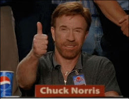 Chuck Norris aprova este blog!