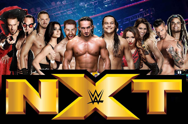 WWE+lanzar%C3%A1+%E2%80%9CThe+Best+of+NXT%E2%80%9D+en+DVD.jpg (640422)