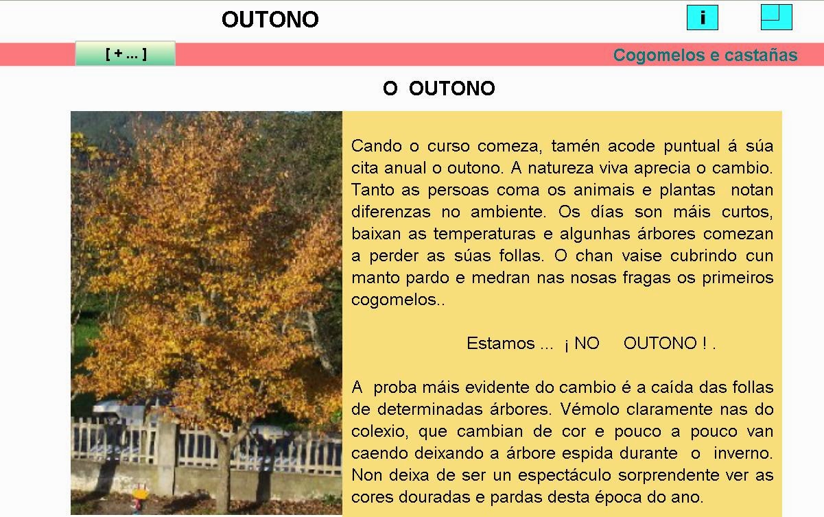 http://centros.edu.xunta.es/ceip.manuel.fraga/unidades/outono/outono.html