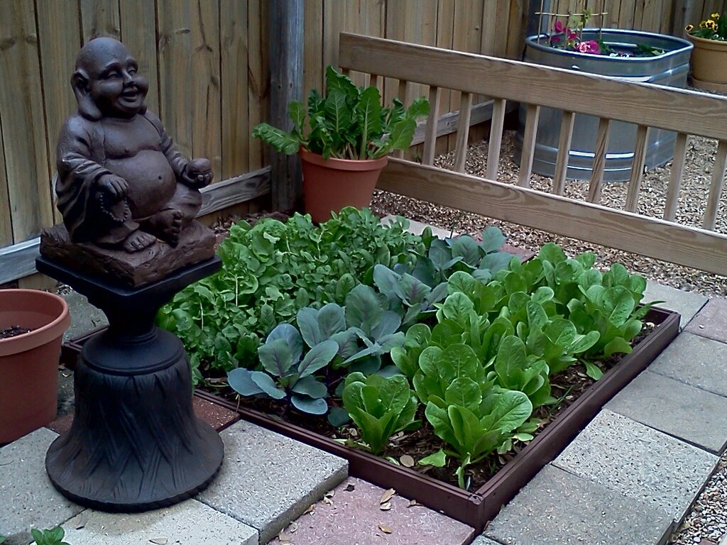 Foodie Girl Finds Foodie tips and tricks for a successful garden!