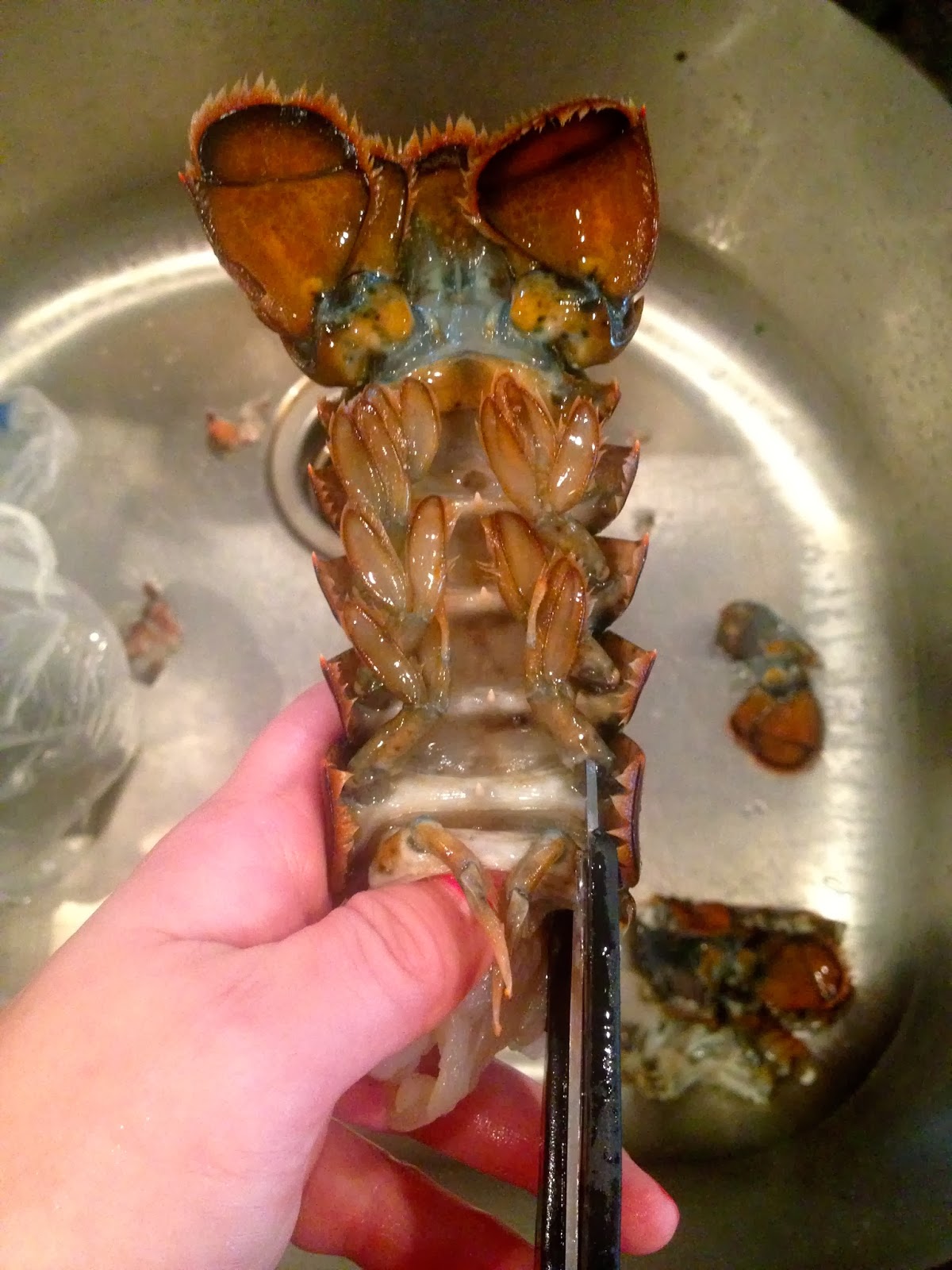 Verbal Gold Blog Fried Lobster Bites Recipe