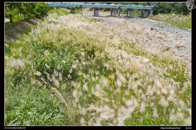 嘉義縣竹崎鄉親水公園萬竹博覽館-全新景點花仙子-天空步道啟用-千禧橋-弘景橋