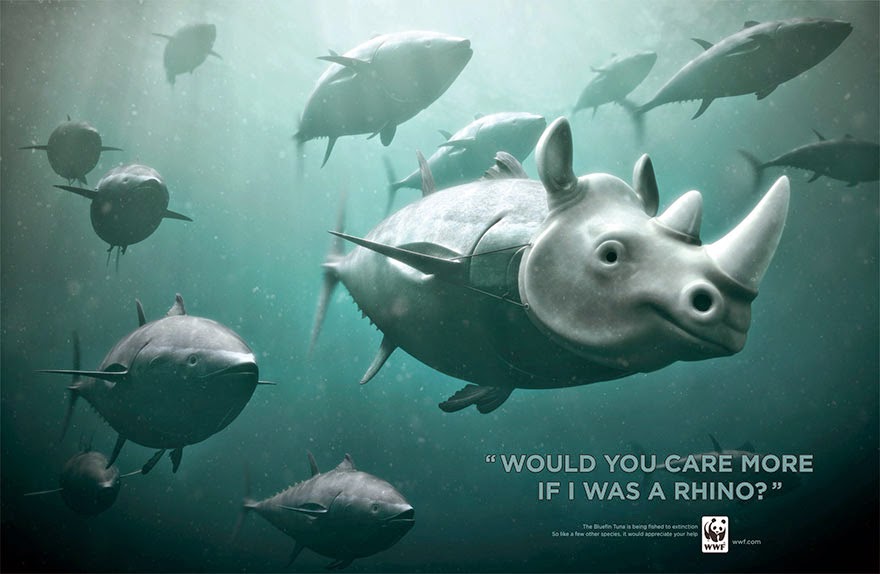 WWF: Bluefin Tuna. Would You Care More If I Was A Panda? - 33 Powerful Animal Ad Campaigns That Tell The Uncomfortable Truth WWF: Bluefin Tuna. Would You Care More If I Was A Panda? - 33 Powerful Animal Ad Campaigns That Tell The Uncomfortable Truth