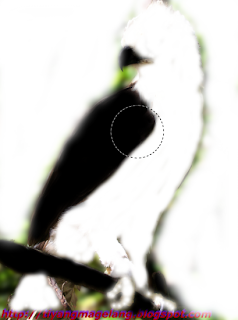 Tutorial GIMP- cara membuat background foto menjadi blur Tutorial GIMP- cara membuat background foto menjadi blur