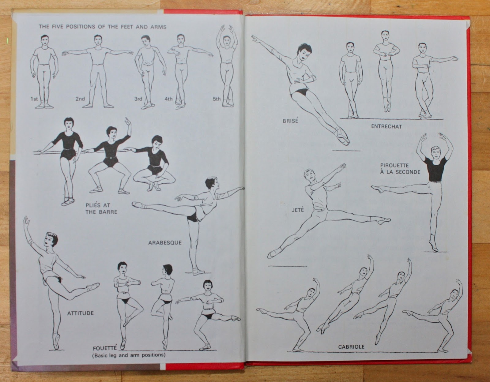 Ladybird Tuesday Ballet Mrs Fox's sustainable life, home, crafts