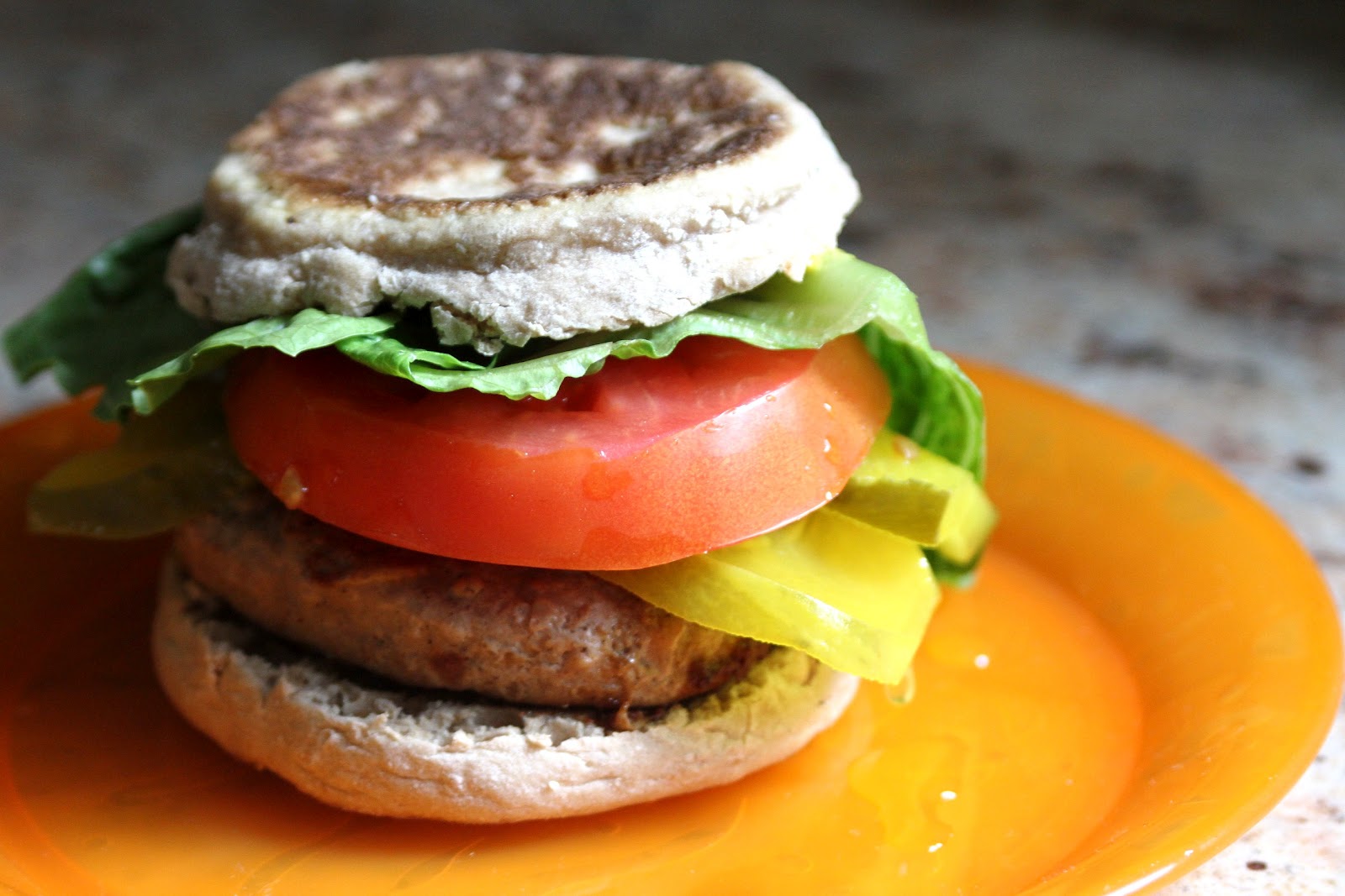 Baker Homemaker Sore Body & Ground Turkey Burger