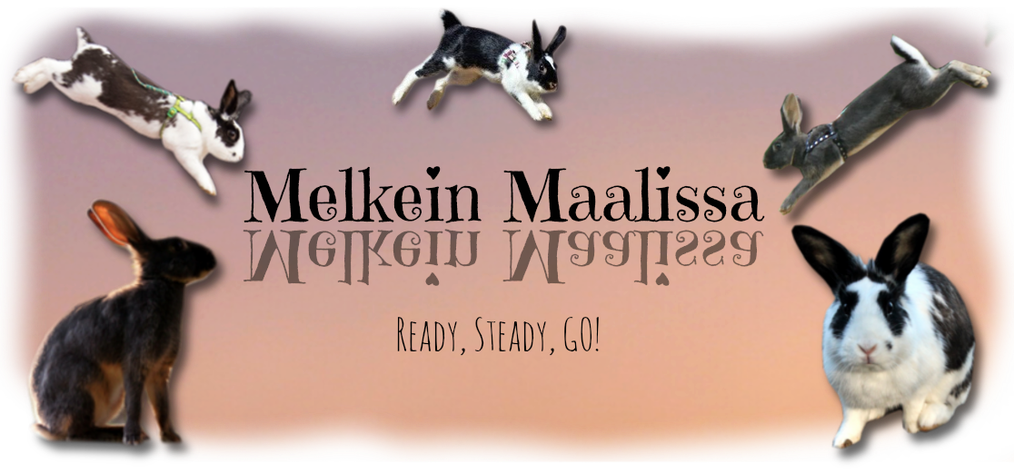 Melkein maalissa!