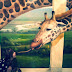 T-ara's Boram and her cute photo with a giraffe!