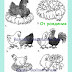 Жизненный цикл курицы "От рождения до смерти"