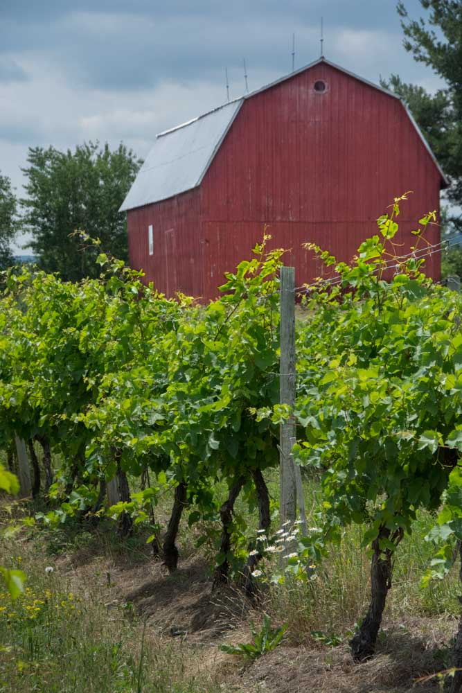 My Daily Photo Walk Day 296 Village of Penn Yan