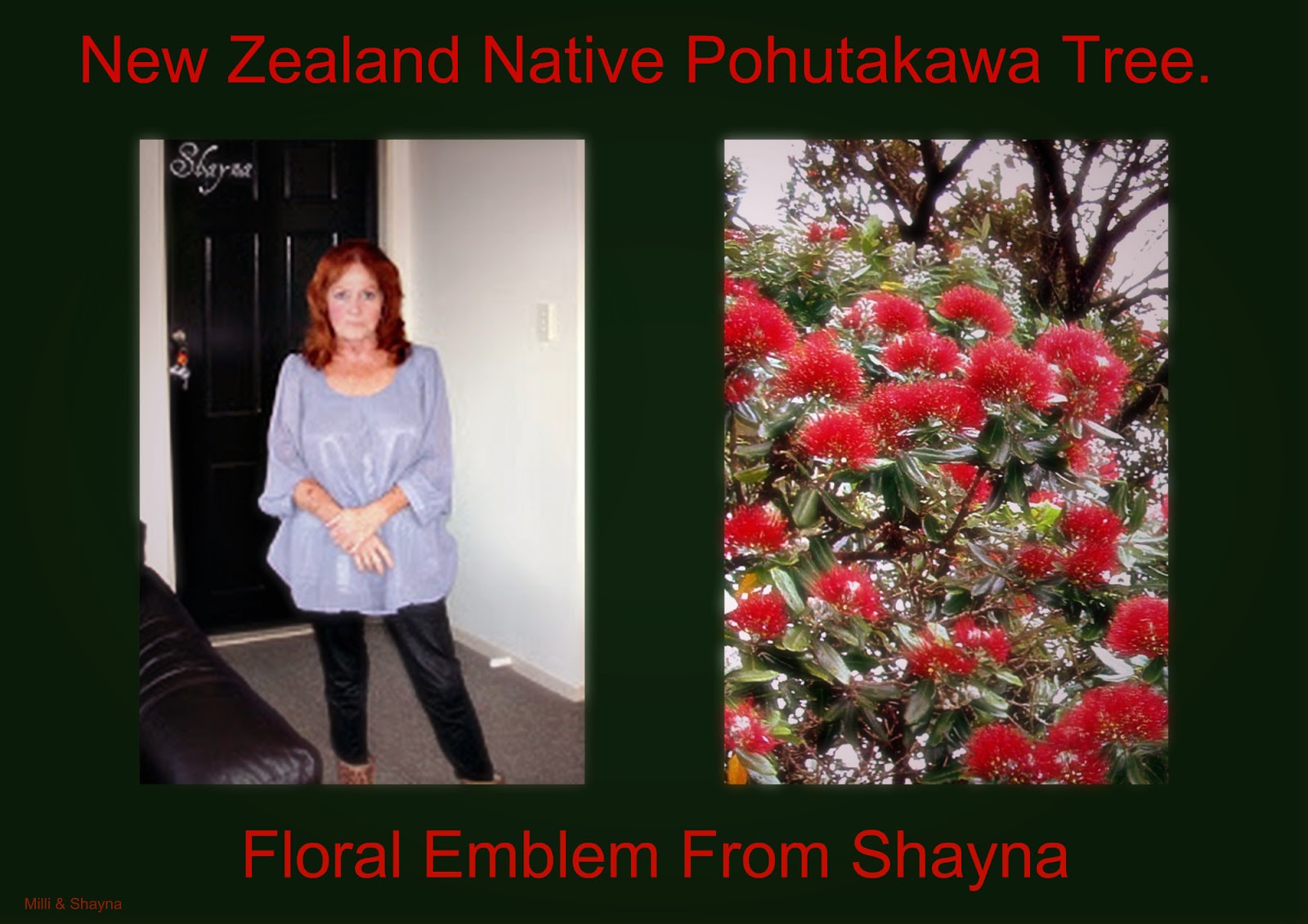 Garden Gurus and Garden Lovers New Zealand's National Flower