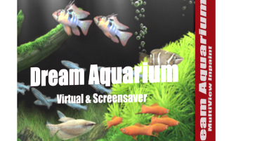 dream aquarium cracked dream aquarium cracked