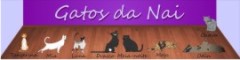 Blog Gatos da Nai