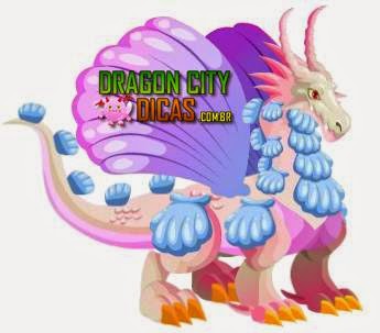 Dragão Concha Dragão Concha