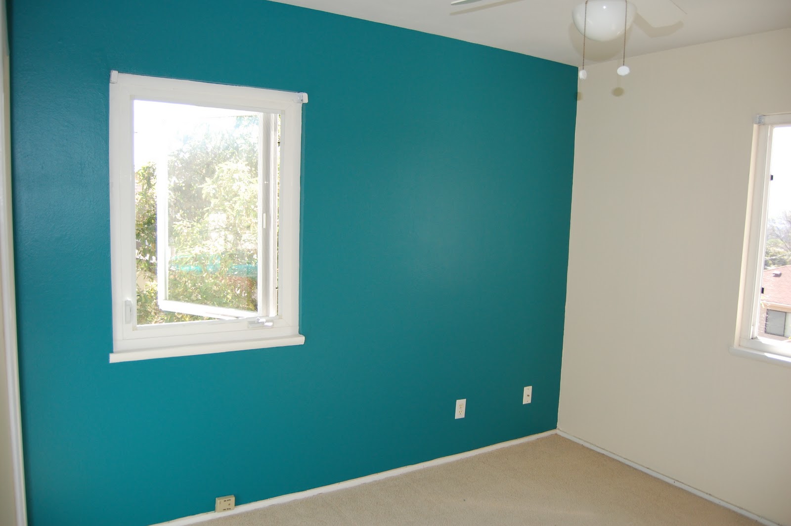 Living Room Painted Rooms Pictures rooms with one wall painted interior decor picture babys room
