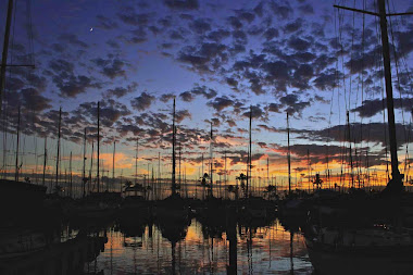 Ala Wai Harbor