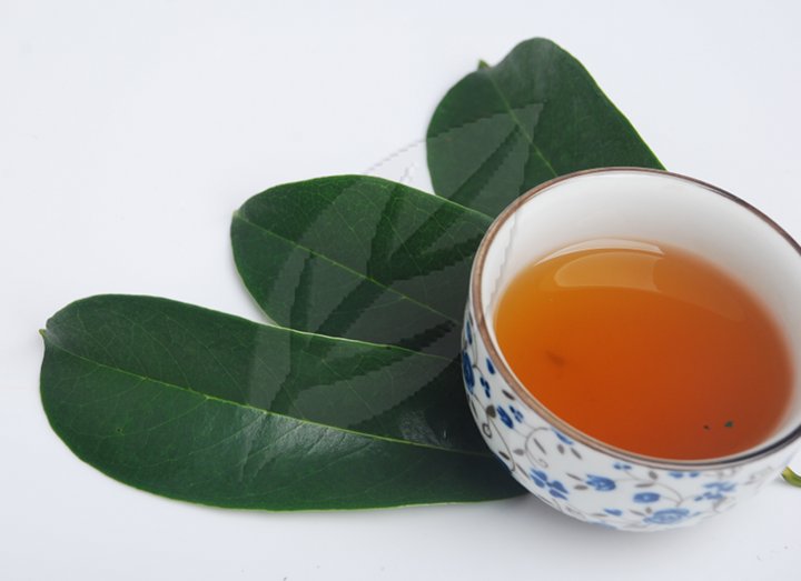 membuat teh daun sirsak untuk kanker kim sinar harapan membuat teh daun sirsak untuk kanker kim sinar harapan