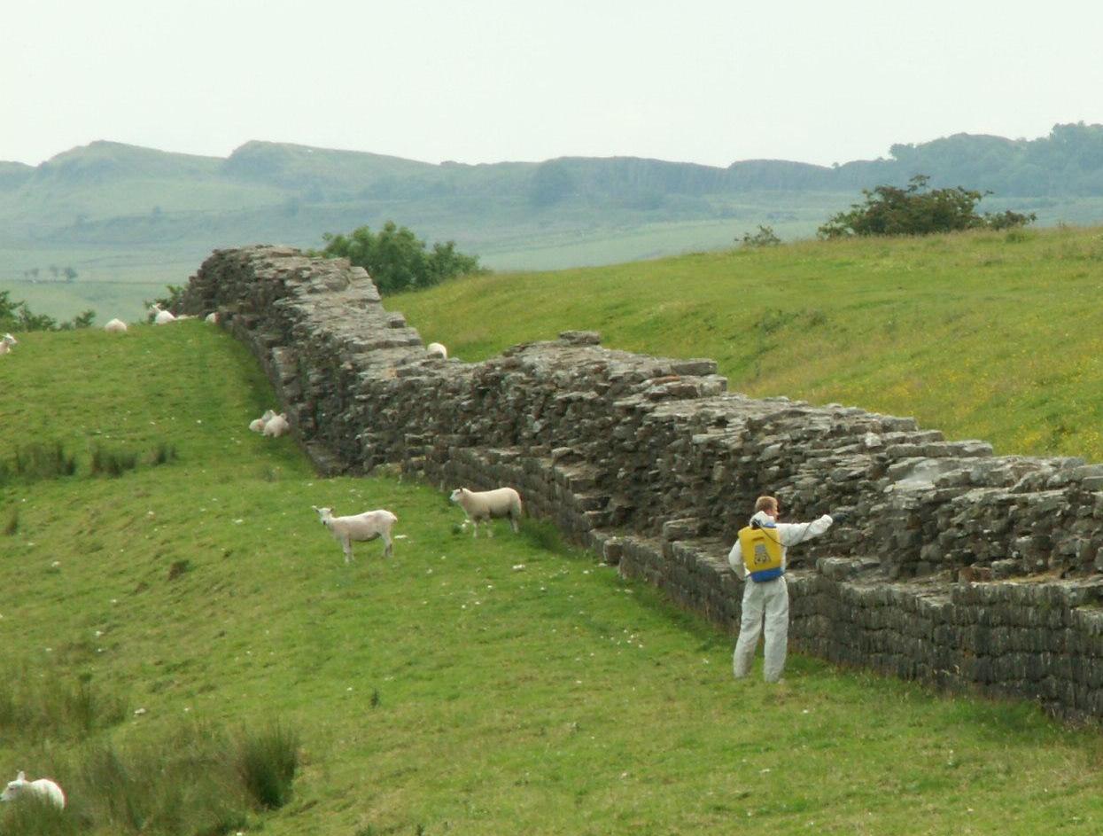 prairiemary: HADRIAN'S WALL