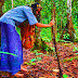 Rahsia besar bakal terbongkar... Zuraida menyorok di hutan Bukit Belacan?