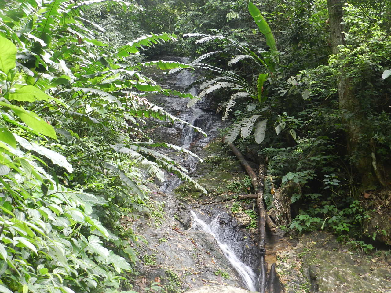 TRAILSPOTS (TSPOTS!) MARACAS FALLS, NORTHERN RANGE, T'DAD PART 2