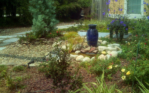 gardenmonkey xeriscape and freeze