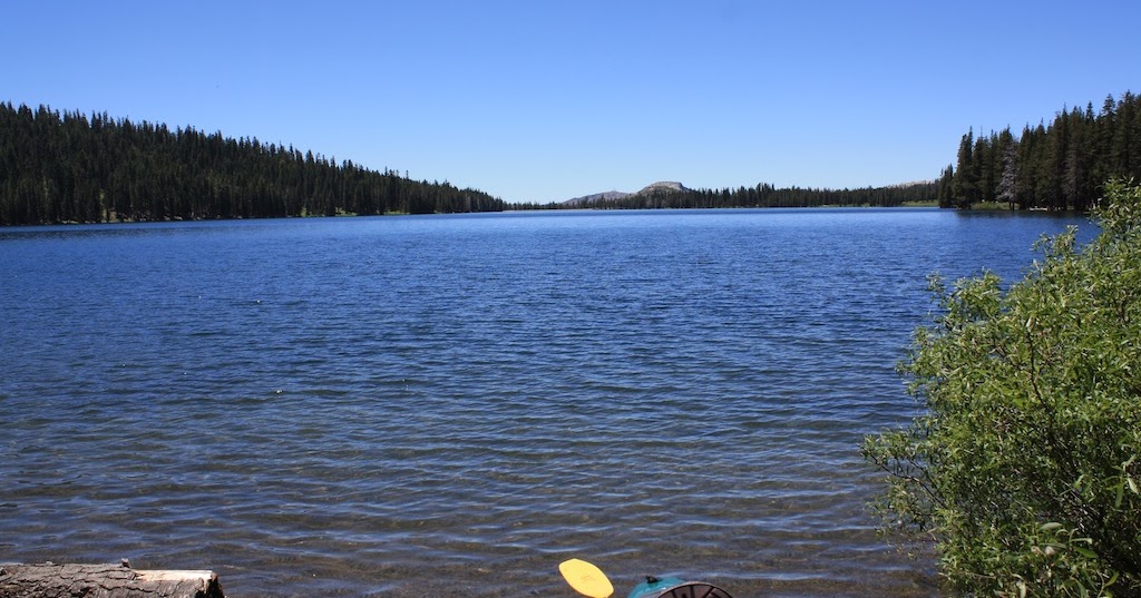 The Abbot of Unreason Meadow Lake, CA