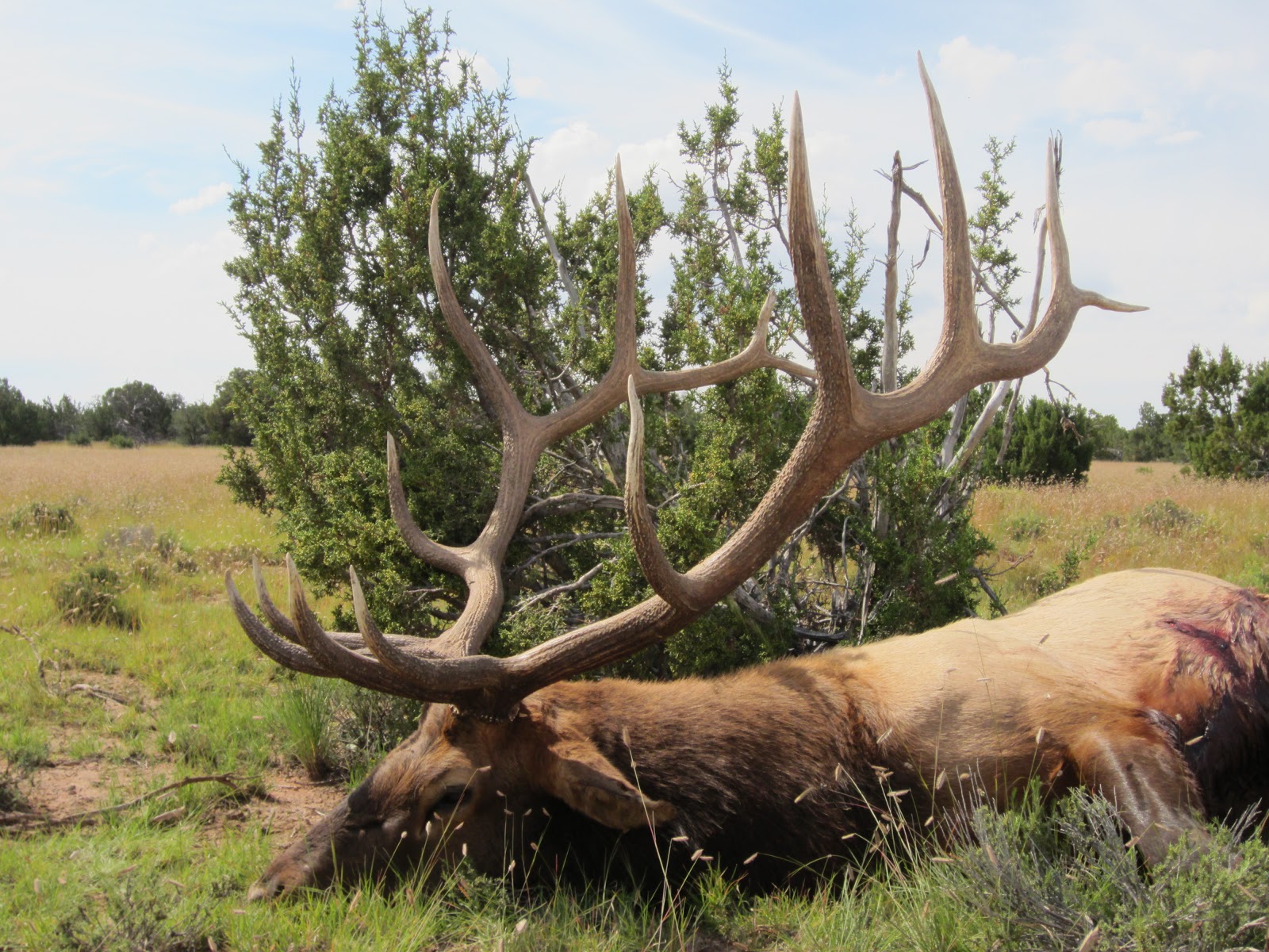 Colburn And Scott Outfitters Jeff Hartland S 380 Az Unit 9 Archery Elk