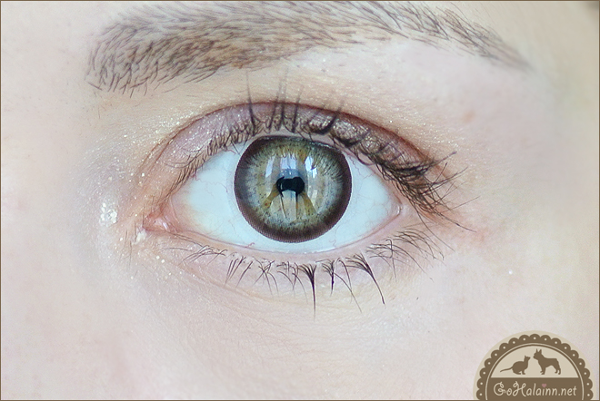 GEO Geolica Euro Circle Dark Brown Circle Lenses Review GEO Geolica Euro Circle Dark Brown Circle Lenses Review