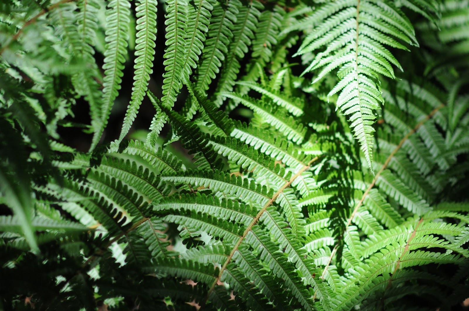 at home with red Natural Texture