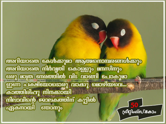 Funny Pictures Gallery: quotes birds, bird quotes.