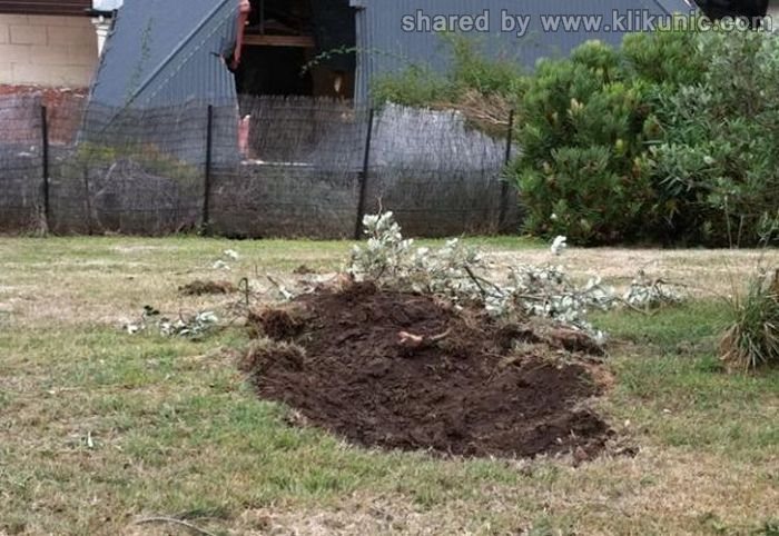http://4.bp.blogspot.com/-KNtiHTUPs5o/TXCx5nB7rkI/AAAAAAAAPx0/lkgO03pZM2o/s1600/rock_02.jpg