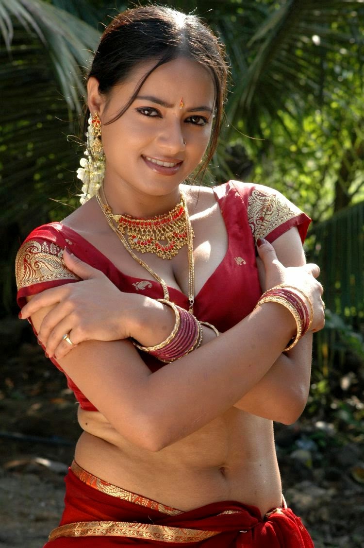 South Indian Actress Hot Navel Show Photos Collections HD Stills