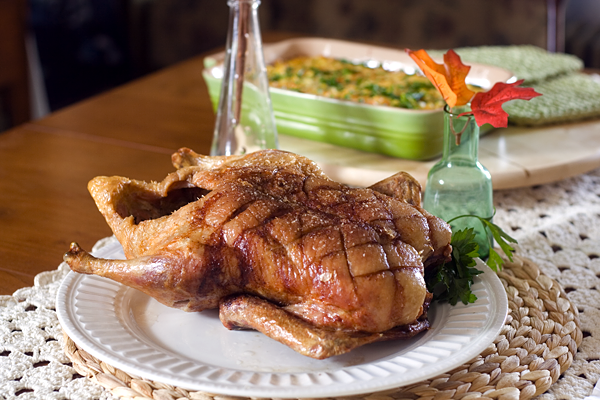 roast goose delia smith