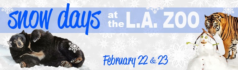 things to do in los angeles ca for adults